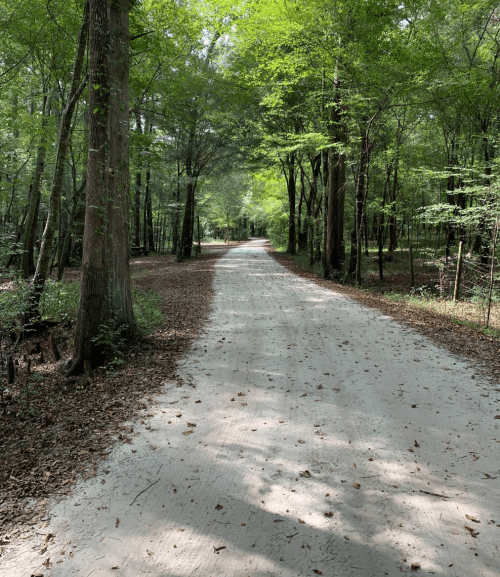 Hike The 3.3-Mile Ginnie Springs Trail In High Springs, Florida