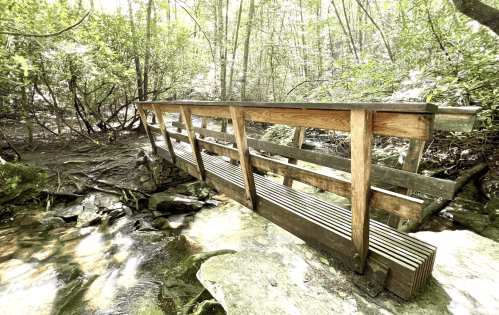 A wooden bridge spans a small stream in a lush, green forest, surrounded by trees and rocks.