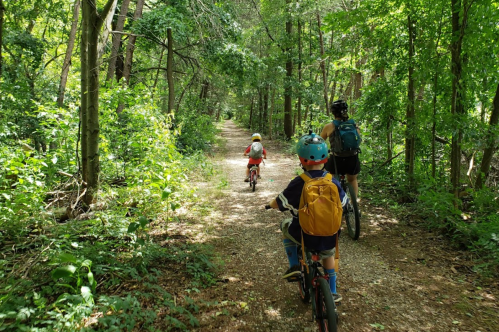 Three children ride bicycles along a wooded trail, surrounded by lush greenery and dappled sunlight.