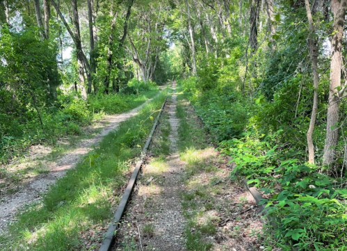 A narrow, overgrown path alongside old railway tracks, surrounded by lush greenery and trees.