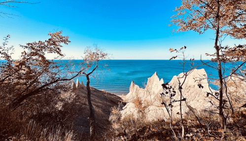 A scenic view of a coastline with rocky formations, framed by autumn foliage under a clear blue sky.