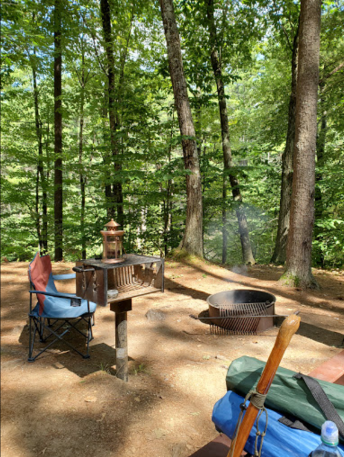 A serene campsite in the woods with chairs, a lantern, and a fire pit surrounded by lush green trees.