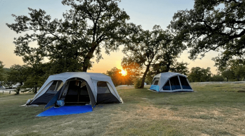 Two tents set up on grassy land with a sunset in the background, surrounded by trees.