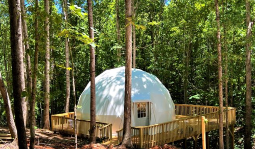 A white dome-shaped structure on a wooden deck, surrounded by tall trees in a lush forest.