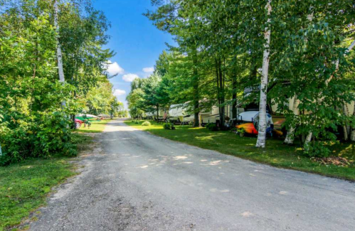 A gravel road lined with trees leads to parked RVs and boats in a serene outdoor setting.