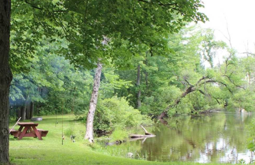 A serene lakeside scene with a picnic table, lush greenery, and a calm water surface reflecting the trees.