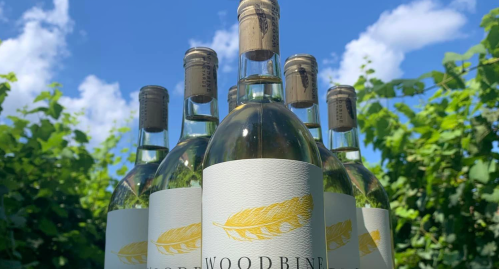 Bottles of Woodbine wine against a blue sky and green vineyard backdrop.