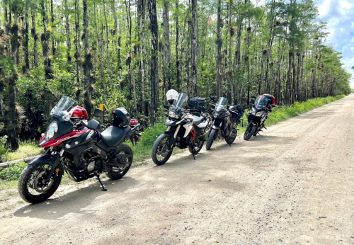 Four motorcycles parked along a dirt road lined with tall trees in a lush green landscape.