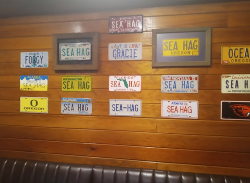 A wall display featuring various license plates, many labeled "SEA HAG," in a rustic wooden setting.