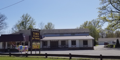 A building with a sign for "Tom's Place Bar & Grill," featuring a colorful cow statue in front on a sunny day.