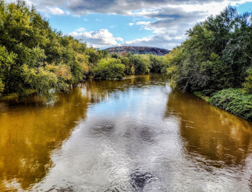 A serene river flows through lush greenery under a partly cloudy sky, reflecting the surrounding landscape.