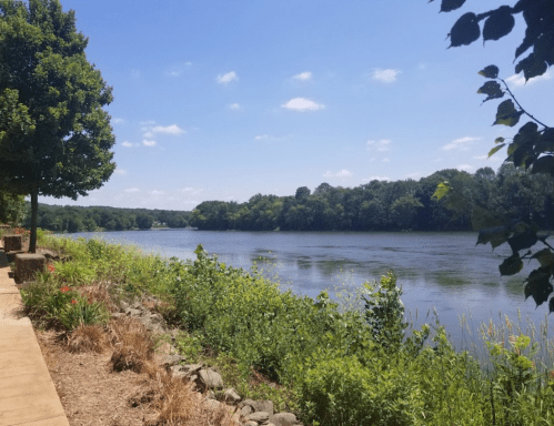 A serene river scene with lush greenery and a clear blue sky, framed by trees along the water's edge.