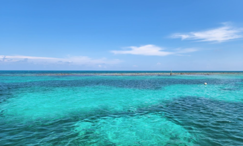 A serene ocean view with clear turquoise waters and a blue sky, featuring a distant coral reef.