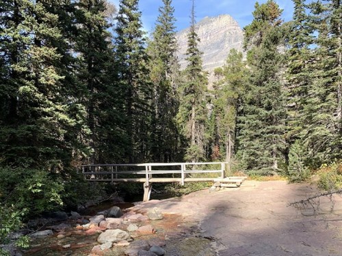 A wooden bridge crosses a small stream in a forested area, surrounded by tall trees and mountains in the background.