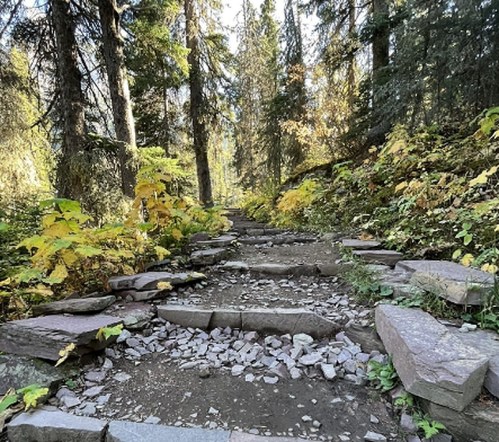 A stone pathway winds through a forest, surrounded by trees and colorful autumn foliage.