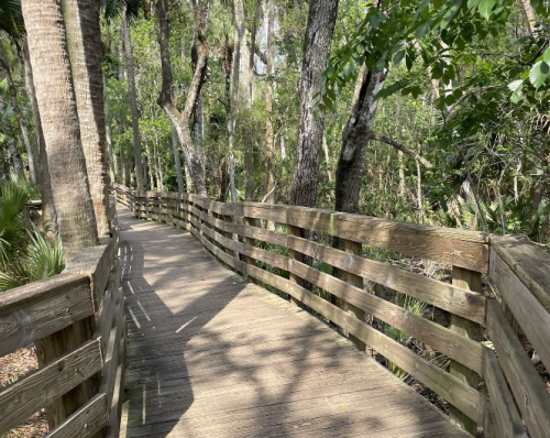 A wooden boardwalk winds through a lush, green forest with trees and foliage on either side.