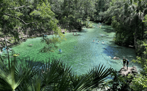A lush, green river with people swimming and relaxing in the water, surrounded by trees and natural scenery.