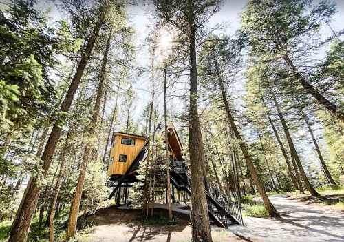 A modern treehouse nestled among tall pine trees, featuring a unique design and a staircase leading up to it.