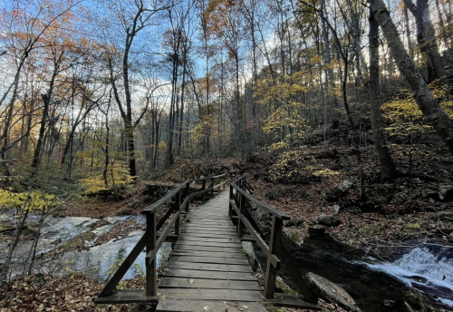 A wooden bridge crosses a stream in a forest with autumn foliage and tall trees under a cloudy sky.