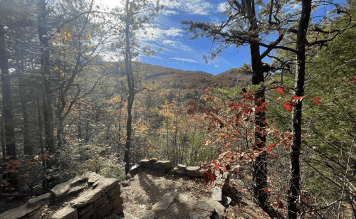 A scenic view of a forested landscape with autumn foliage and a stone wall in the foreground.