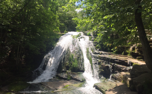 A serene waterfall cascading over rocks, surrounded by lush green trees and a bright blue sky.