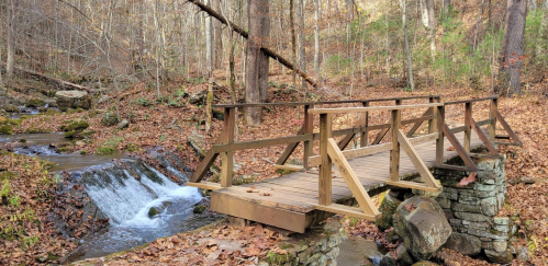A wooden bridge spans a small stream, surrounded by autumn foliage and trees in a serene forest setting.