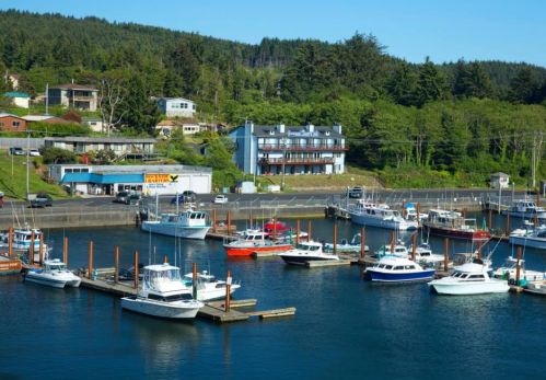 A scenic marina with various boats docked, surrounded by trees and buildings on a sunny day.