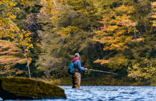 A person fishing in a river surrounded by autumn foliage and colorful trees.