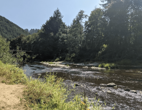 A serene river flows through a lush green landscape, surrounded by trees and mountains under a clear blue sky.