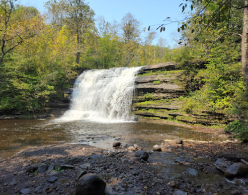 A serene waterfall cascades over rocky ledges, surrounded by lush green trees and a clear blue sky.