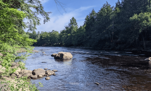 A serene river scene with rocks, surrounded by lush green trees under a clear blue sky.