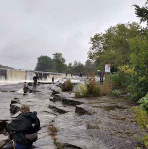 A group of people fishing near a waterfall on a cloudy day, surrounded by greenery and rocky terrain.