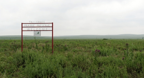 Sign for Tallgrass Prairie Preserve welcomes visitors, set against a vast green landscape under a cloudy sky.