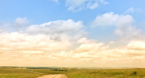 A dirt road stretches through a grassy landscape under a blue sky with fluffy clouds.