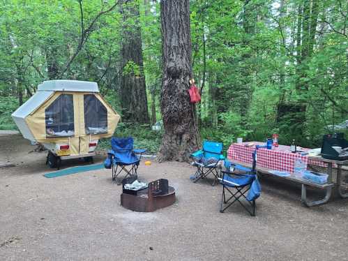 A campsite with a pop-up camper, picnic table, chairs, and a fire pit surrounded by lush green trees.