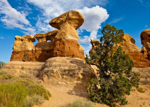 A person stands near unique rock formations under a blue sky with clouds, surrounded by desert vegetation.