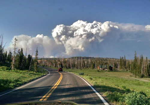A winding road through a forest with a large cloud of smoke rising in the background, indicating a possible wildfire.