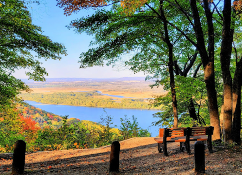 Scenic view of a river valley framed by trees, with a wooden bench overlooking the landscape.