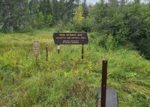 Sign for "Iron Springs Bog" in a lush, green natural area, surrounded by tall grass and trees.