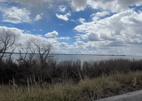 A serene landscape featuring a calm lake, cloudy sky, and bare trees along the shore, with grass in the foreground.