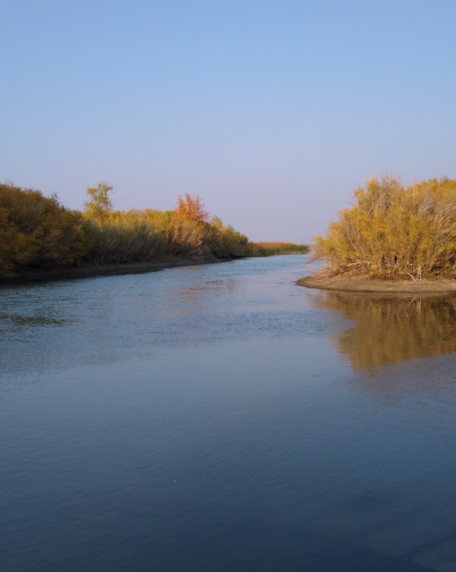A serene river winding through trees with autumn foliage under a clear blue sky.