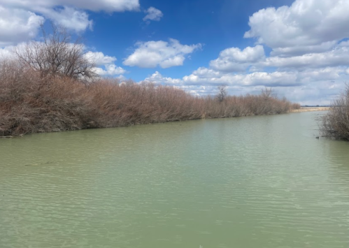 A calm river flows through a landscape with bare trees under a partly cloudy blue sky.