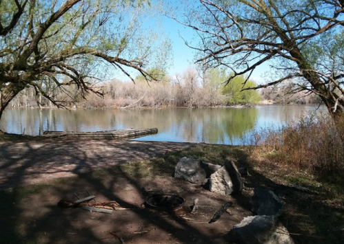 A serene river scene with trees, a fire pit, and a wooden dock under a clear blue sky.