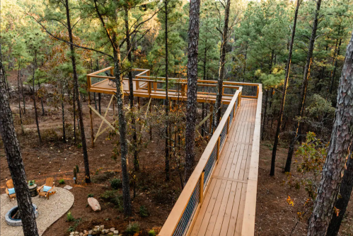 A wooden walkway elevated among tall pine trees, leading to a platform with a view, surrounded by nature.