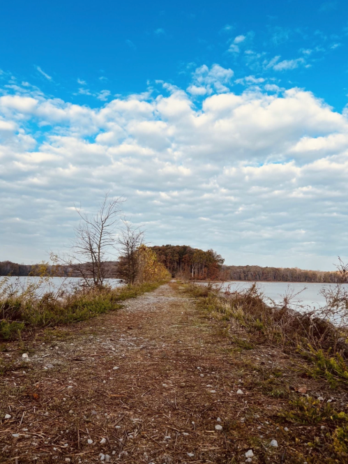 A gravel path leads to a wooded area by a calm lake under a partly cloudy sky.
