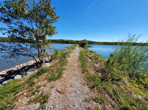 A gravel path along a calm lake, bordered by trees and greenery under a clear blue sky.