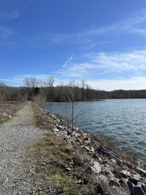 A gravel path alongside a calm lake, surrounded by bare trees and a clear blue sky.