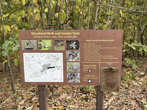 Sign for Woodland Walk and Honker Trails, featuring a map and safety tips, surrounded by trees in autumn foliage.