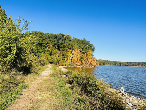 A serene lakeside path lined with trees, showcasing vibrant autumn foliage under a clear blue sky.