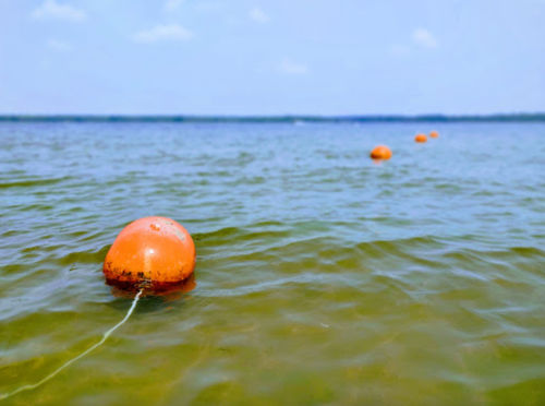 Orange buoys floating in calm water, with a clear blue sky in the background.